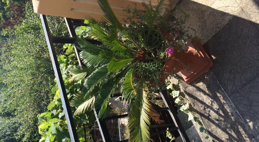 Гостиница Гостевой Дом «Гости» Сочи-30