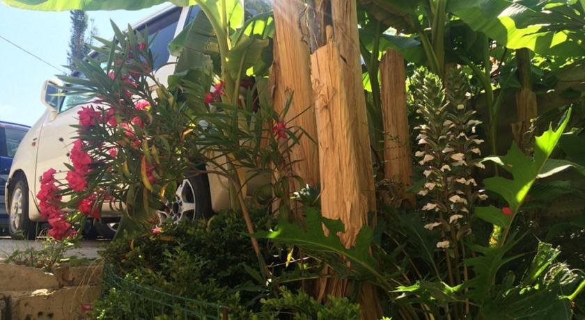 Гостиница Гостевой Дом «Гости» Сочи-86