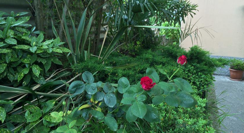 Гостиница Гостевой Дом «Гости» Сочи-42