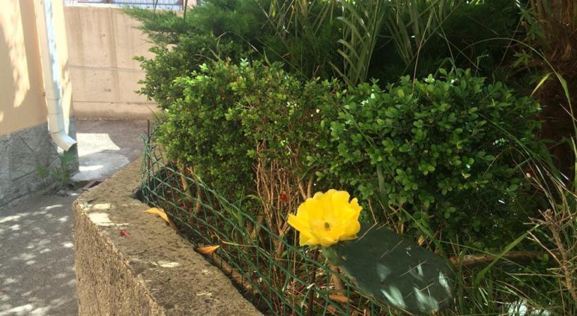 Гостиница Гостевой Дом «Гости» Сочи-83