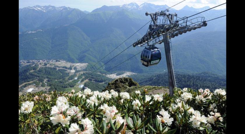 Гостиница Гостевой Дом «Гости» Сочи-76