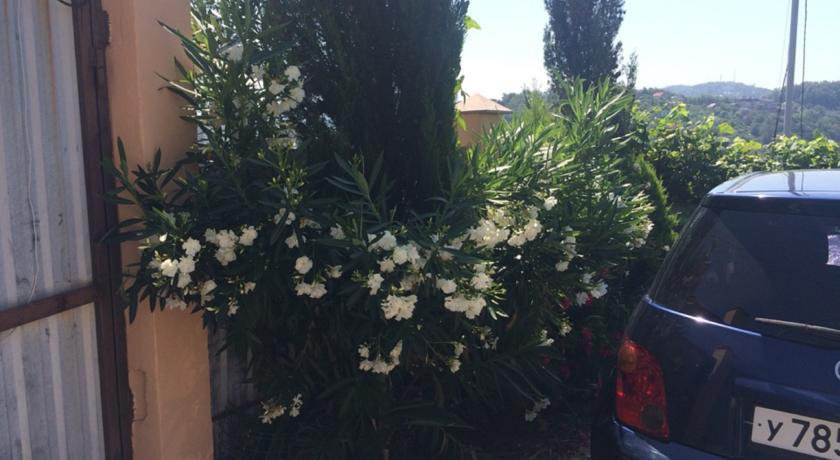 Гостиница Гостевой Дом «Гости» Сочи-84