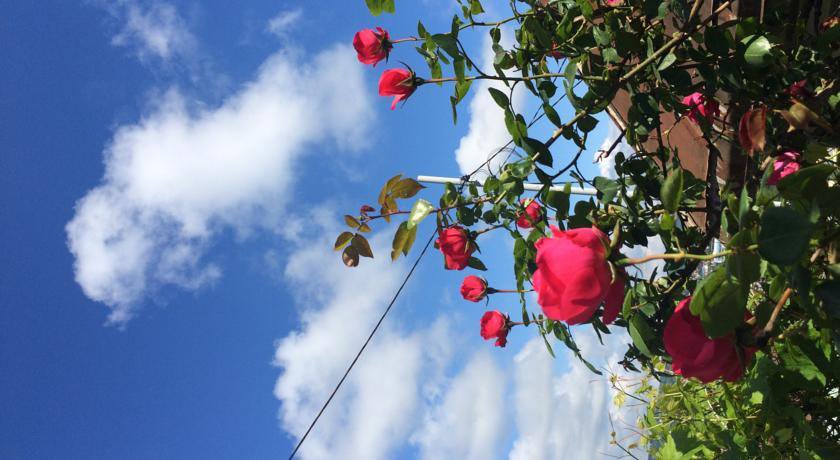 Гостиница Гостевой Дом «Гости» Сочи-24