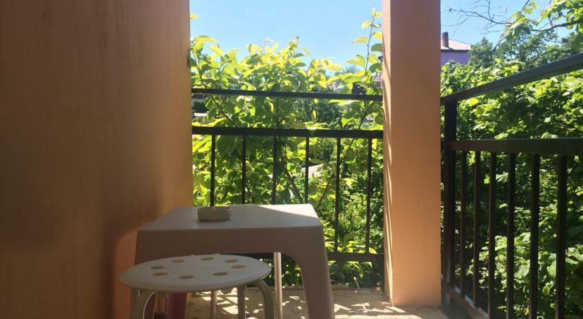 Гостиница Гостевой Дом «Гости» Сочи-50